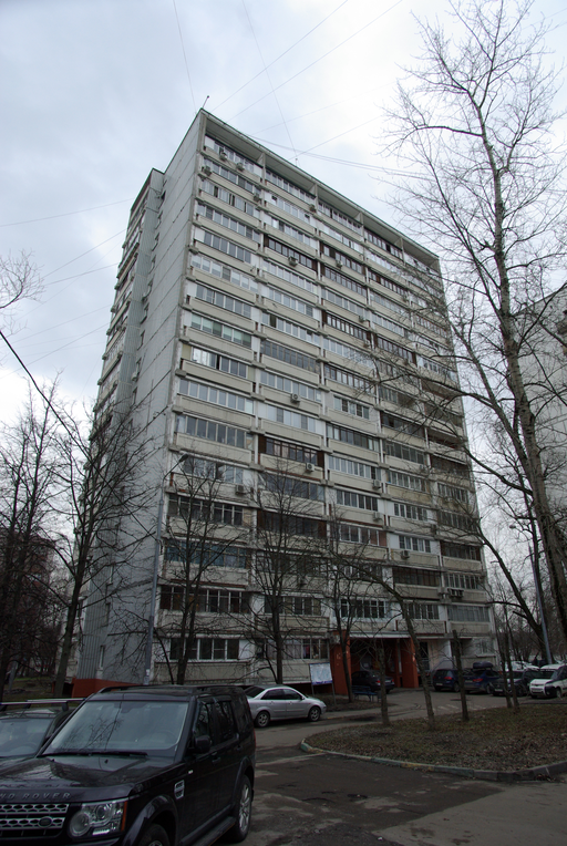 Пятая улица Соколиной Горы 27