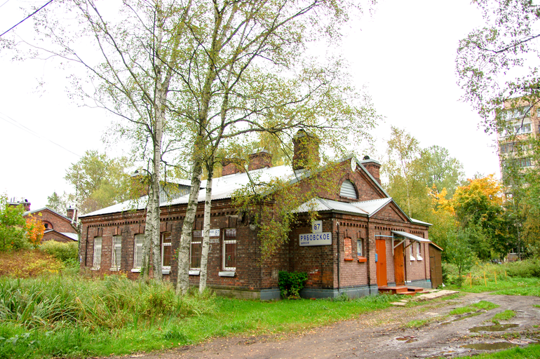 Рябовское шоссе 87