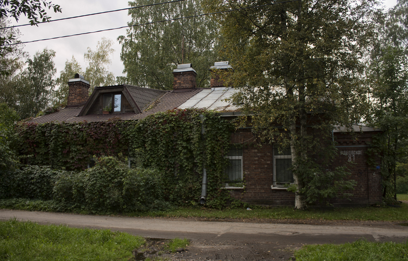 Рябовское шоссе 81