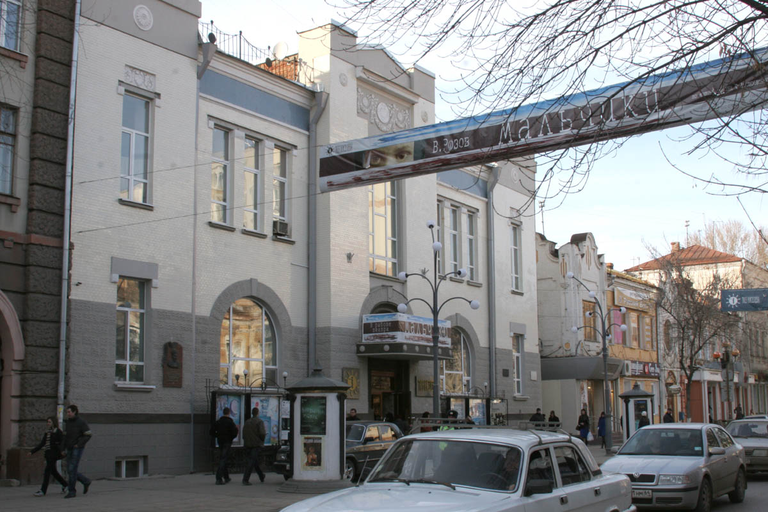 Историческое здание ТЮЗа Киселёва