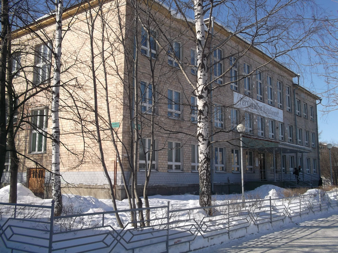 Финно-угорская школа