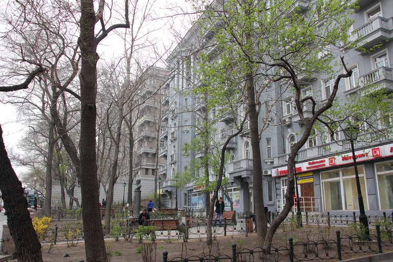 Ансамбль жилых домов Большой Владивосток